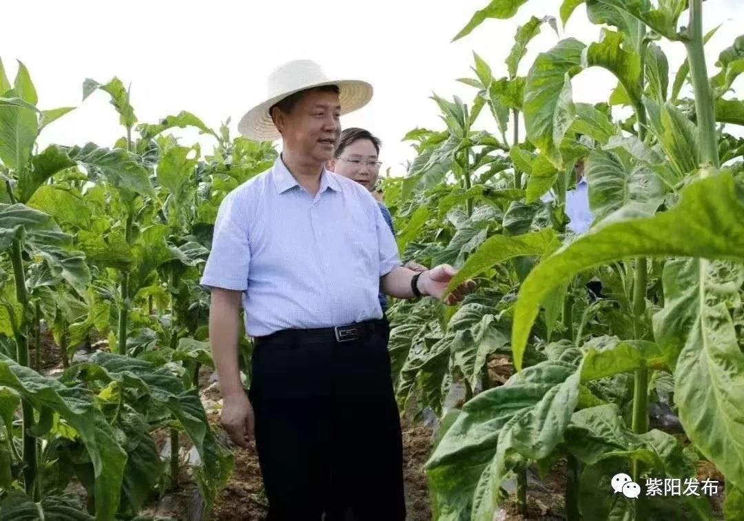 陕西赵立根图片