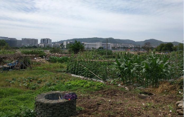 庙前地村这块地即将拍卖,建筑面积超…_新昌县