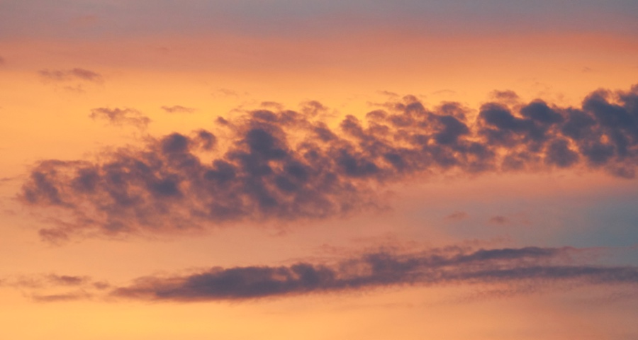 家电企业必须要重掌渠道话语权：不能让电商低价线上线下乱飞-家电圈官网