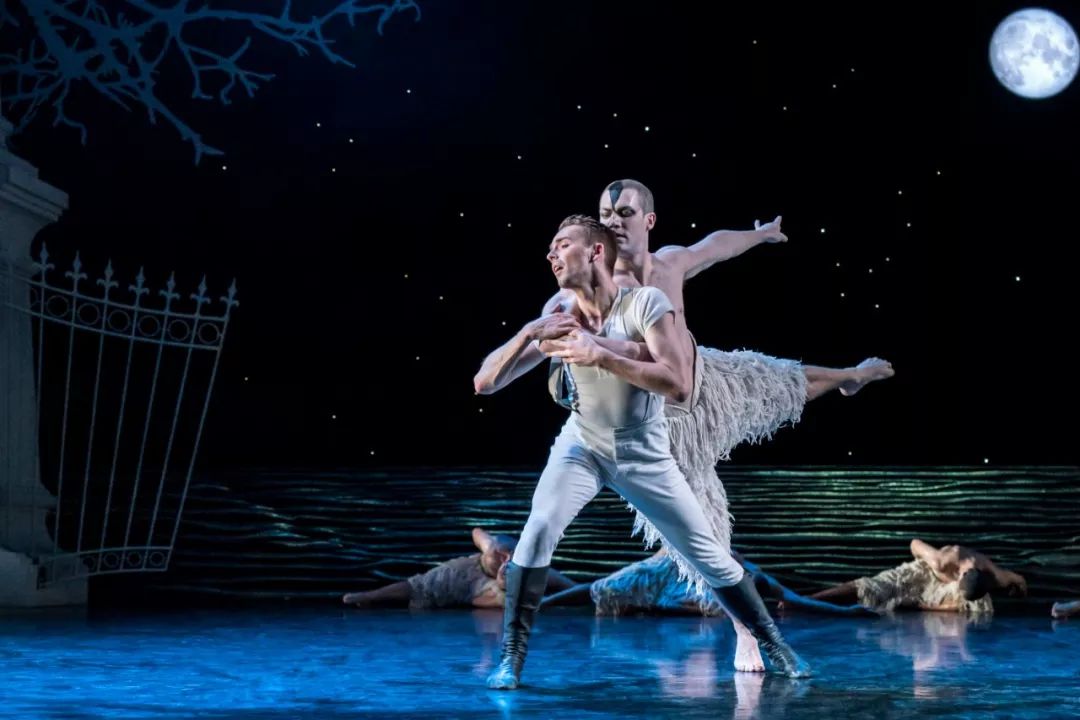 马修伯恩天鹅湖男舞者演绎的天鹅是什么样的
