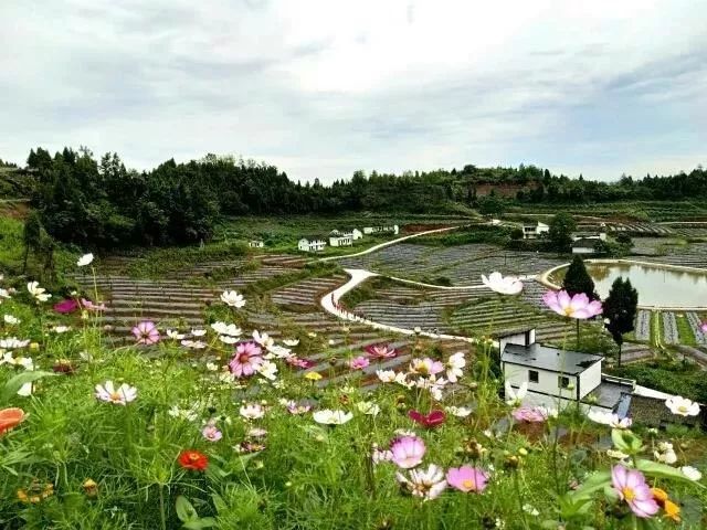 南充網紅新村開選啦西充四新村上榜有你家嗎