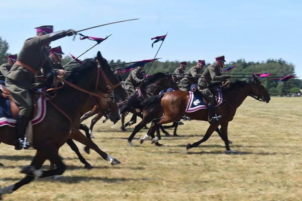 古典與現代交相輝映波蘭陸軍第25空中騎兵旅開放日