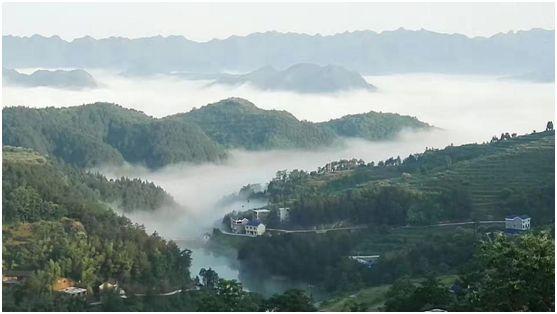 爬上中平鄉中寨村中嶺水庫,漫步大山深處,這裡山水逶迤,林木繁茂,雲霧