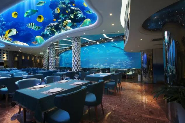 三亚瑞德姆海底餐厅海底下午茶歇秀单人茶歇价值158元美人鱼秀水下