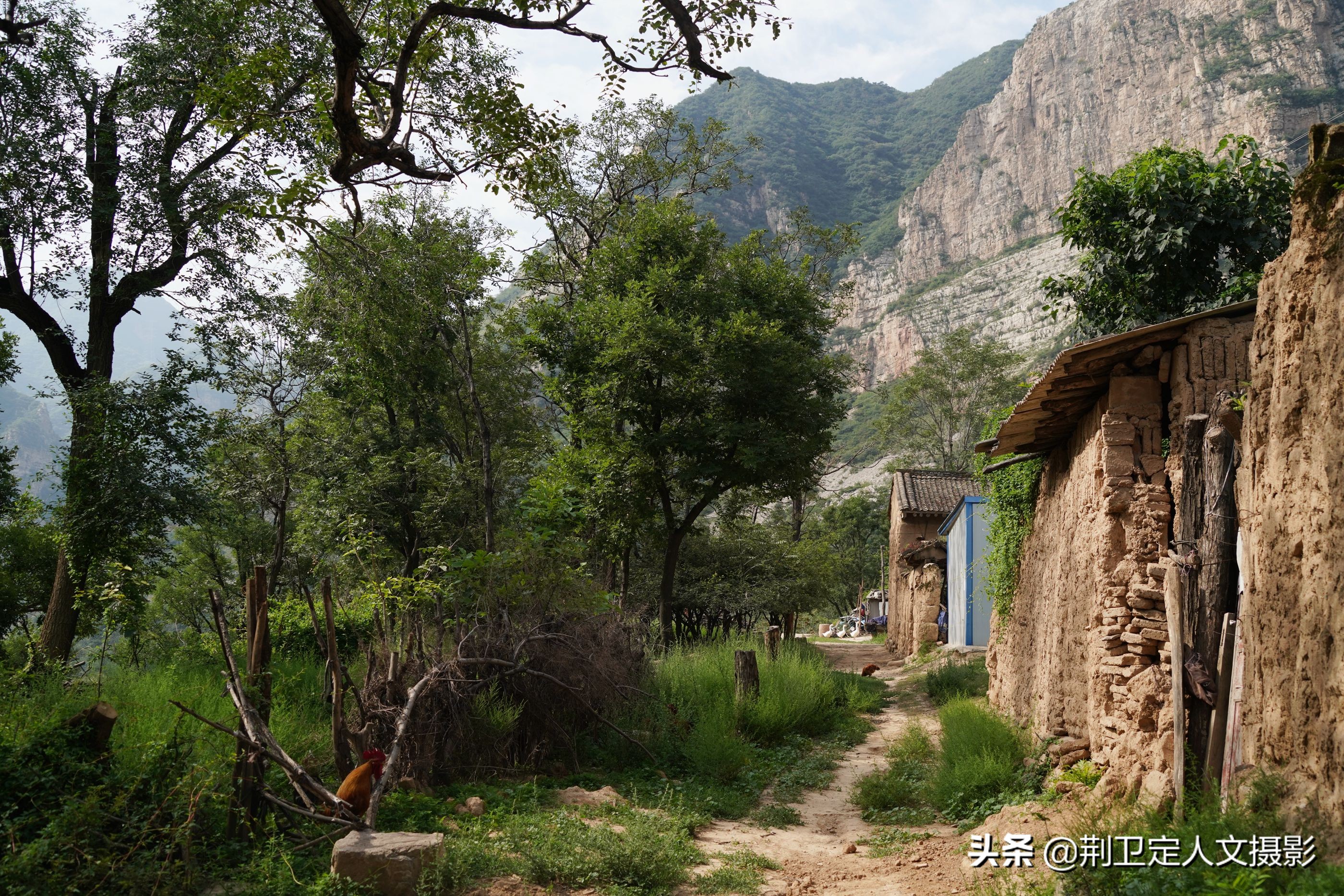 山西运城深山发现世外桃源,4户人家小山村如画田园,看美成啥样