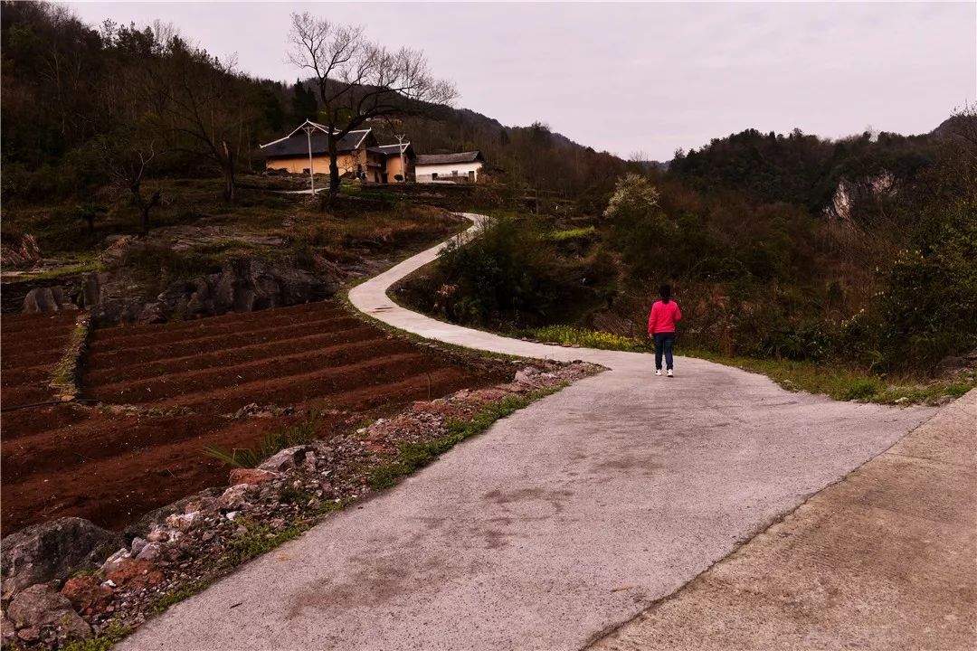 五峰这个村为什么越来越美