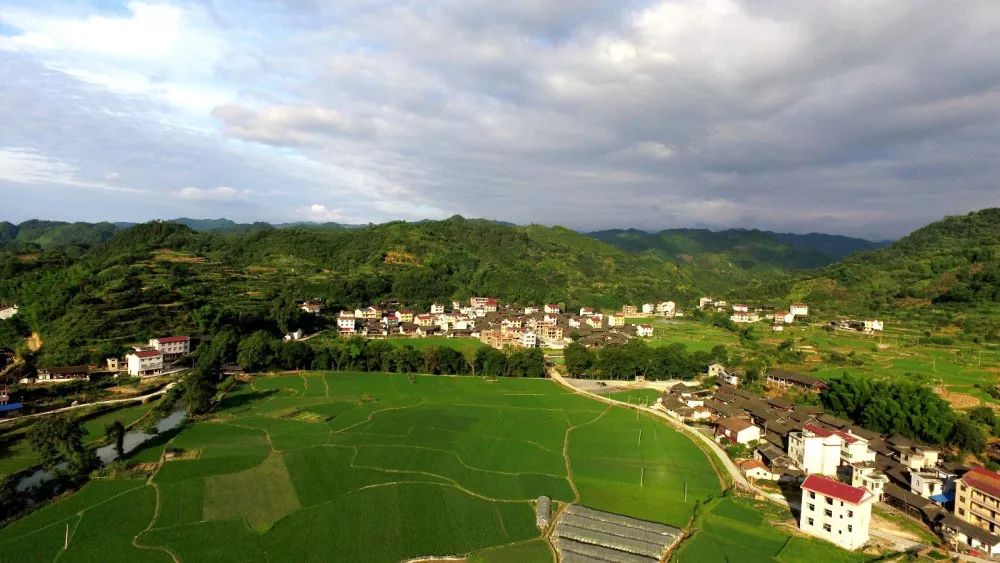 魅力辰溪辰溪第三届稻花鱼文化节黄溪口镇双溪村分会场与您共同寻味
