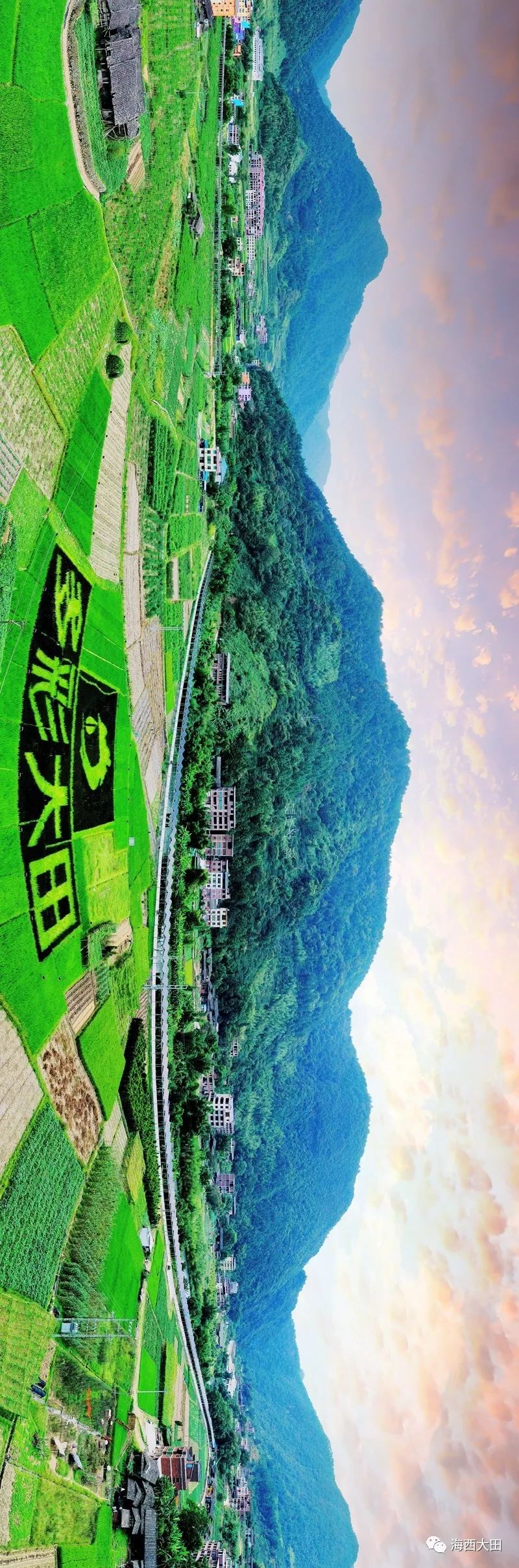 大田这些稻田"诉说"家乡的多彩和灵动,谁能不爱?_广平镇