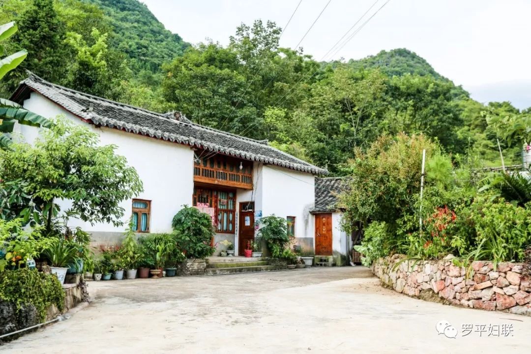 庭院环境各具特色的庭院风格别具情调的农家小院处处彰显着"美丽庭院