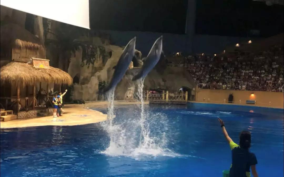 海洋館和動物園都可以參觀,裡邊參觀內容豐富,有雨林奇觀,白令小鎮