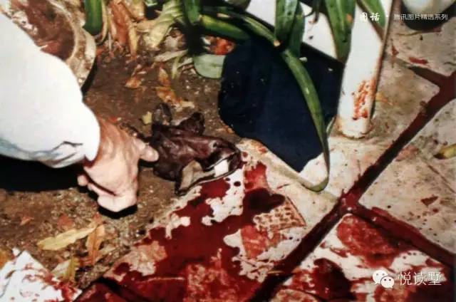 李昌钰:"世纪大审判"辛普森杀妻案背后的真相(法律人必读)