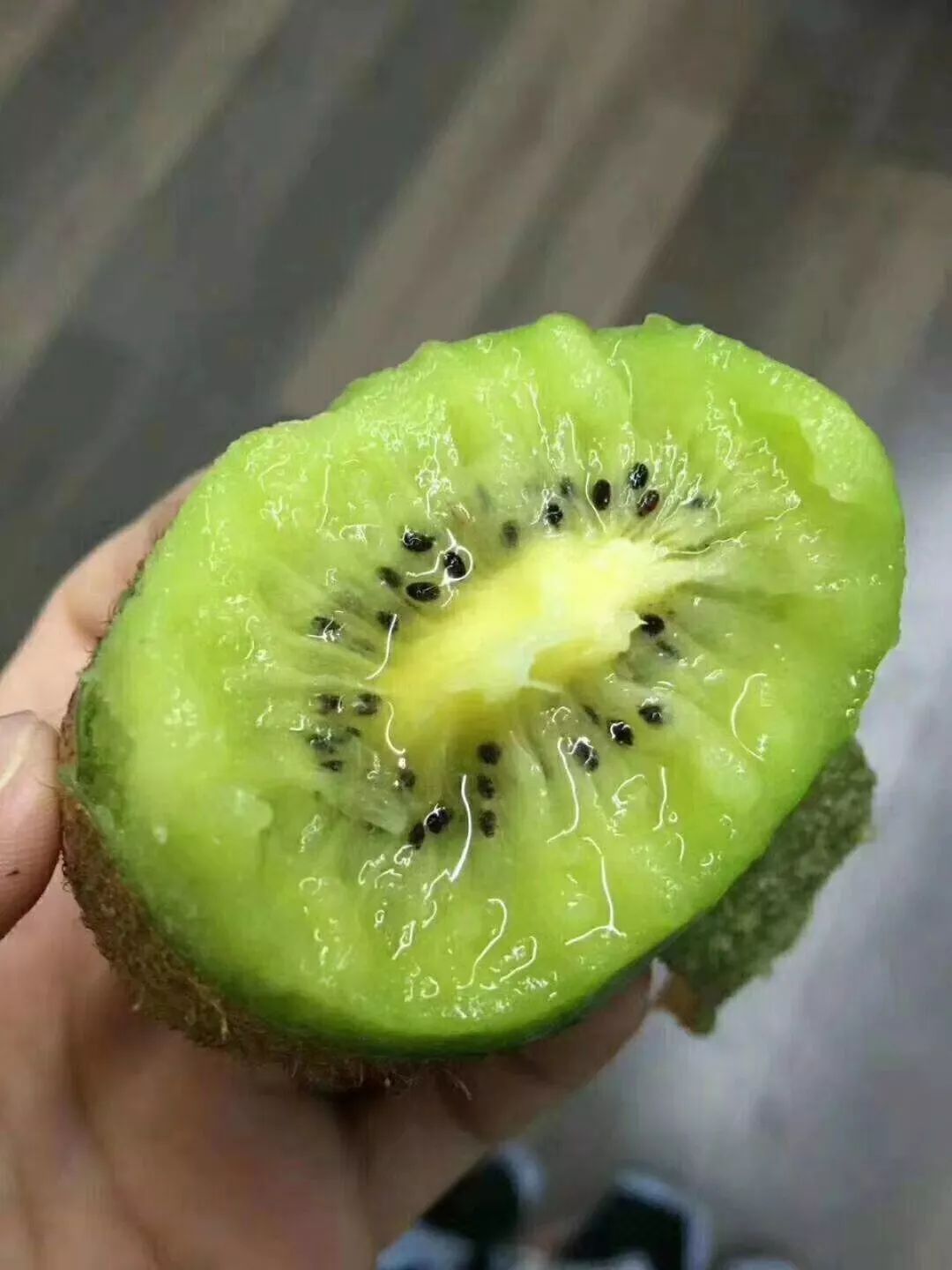 它来了它来了2019年江山猕猴桃千呼万唤始出来源产地直发