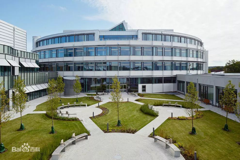 2019世界最佳小型大学发布,最小的只有不到600人?_比萨