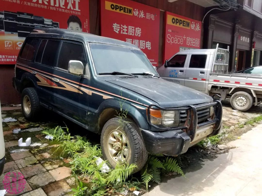 博白那些存在已久的"僵尸车"爱不起来 恨到深处