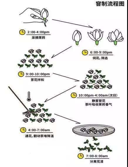 吾饮良品绿茶中潜藏独特香气只因多了这道工艺