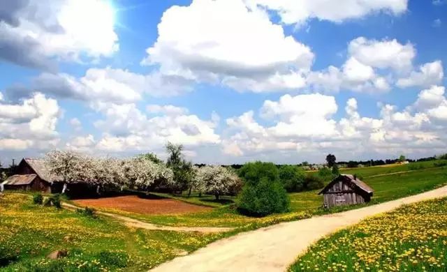 乡村景观：乡土元素与景观营造_生活