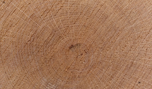 市场下沉非家电业的新盈利点，只是少数企业“遮羞布”-家电圈官网