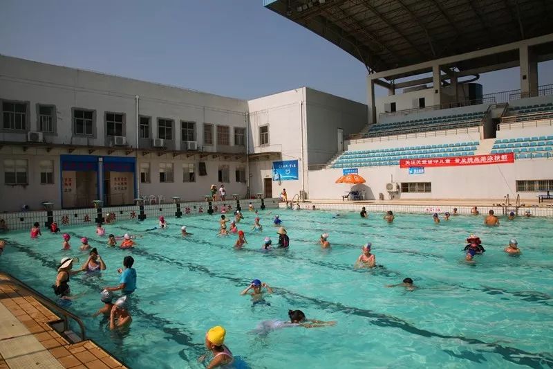 8月19日上午,记者来到市体育馆室外游泳场,此时场内已是一派热闹繁忙