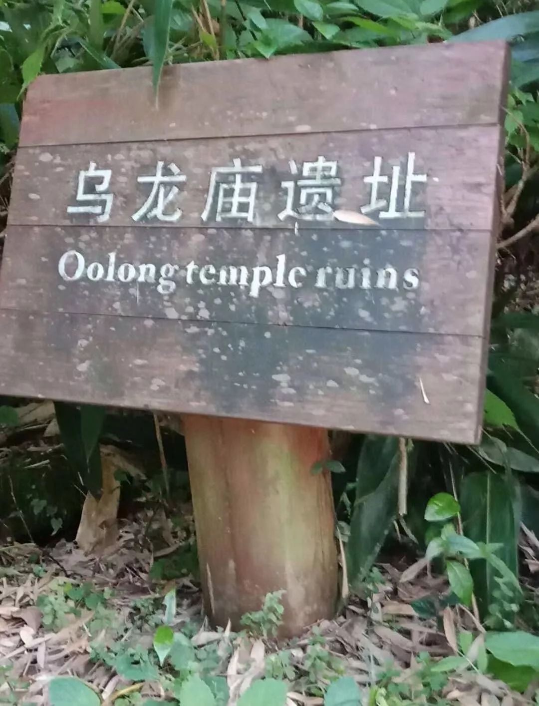 时过境迁,乌龙村庙虽已成往事,但乌龙村的山依然葱葱郁郁,乌龙村的水