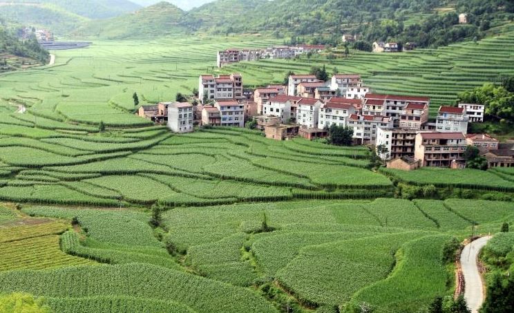 在湛江农村这6种地方不能建房求谁都没用