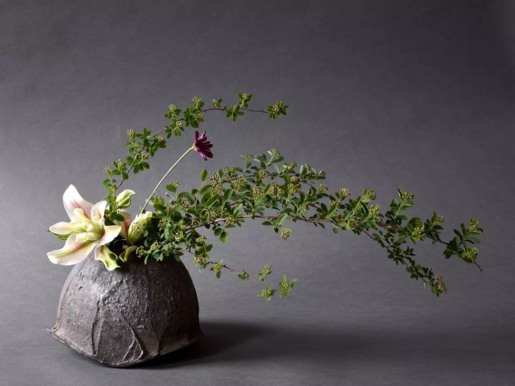 日本花道理性之美从文化层面细解日本花道及传统文化之精髓