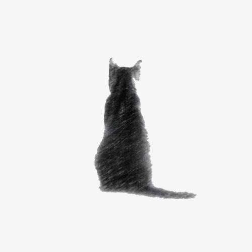 猫的背影头像图片