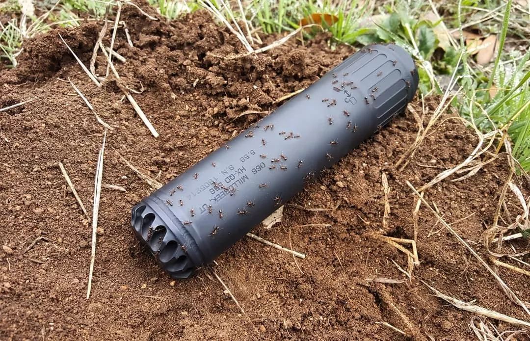 静观其变oss消音器美图欣赏