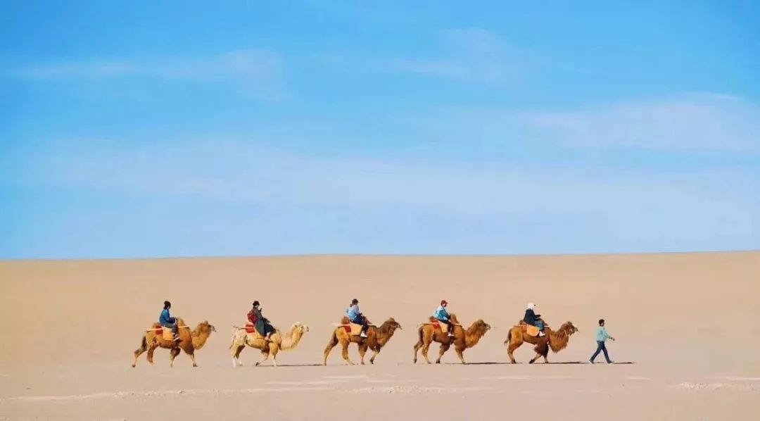 「想去大西北旅行的驴友叫什么来着」✅ 想去大西北旅行的驴友叫什么来着英语