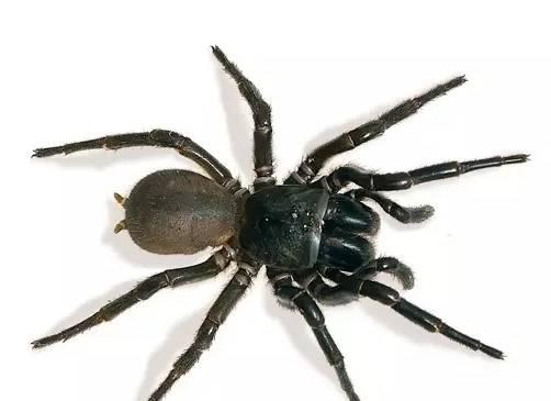 谈崩蜘蛛侠退出漫威宇宙原因钱没谈拢