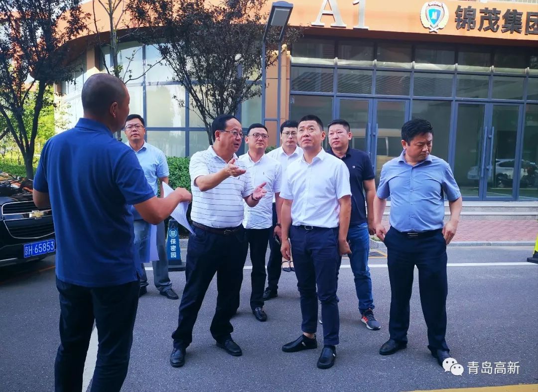 万洋集团总裁吴建明一行考察高新区