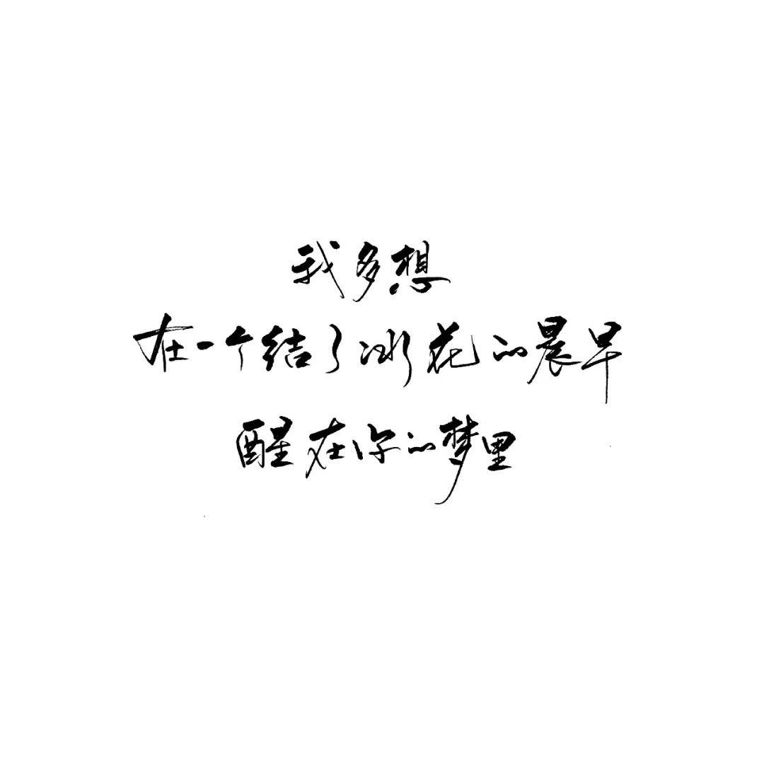 练字作业 世界美好,我在中央_字体