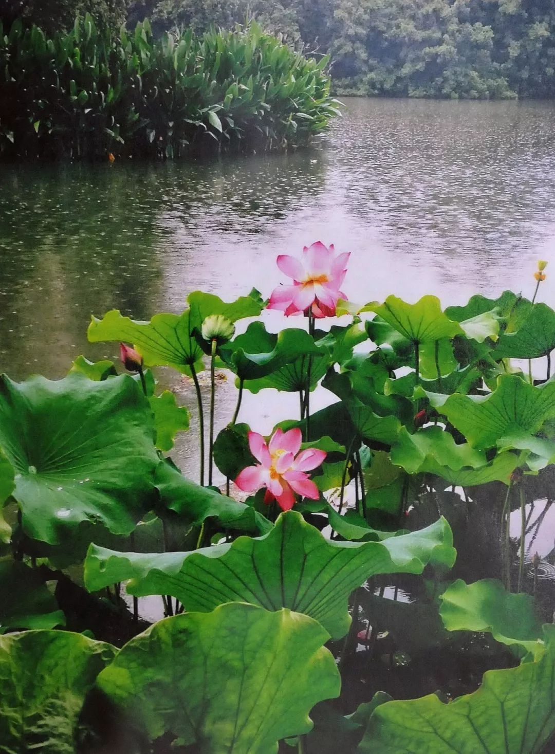 "十佳廉洁文化作品评选"投票现在进行时_摄影