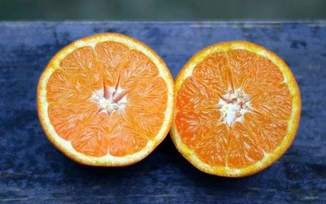 orange不是橘子别再乱叫了