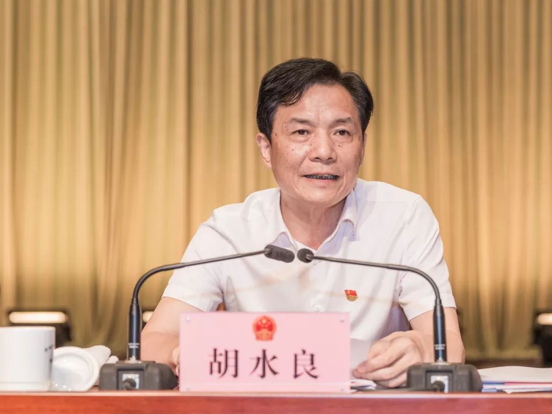 人大要闻今天下午平湖市人大代表集中在一起