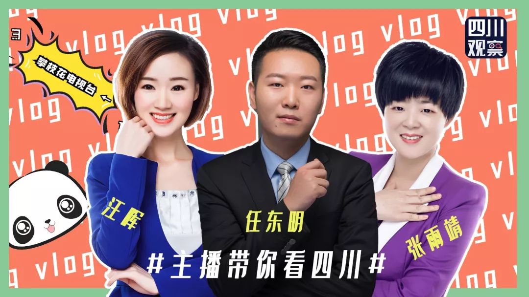 收看直播平台:四川观察,攀枝花手机台