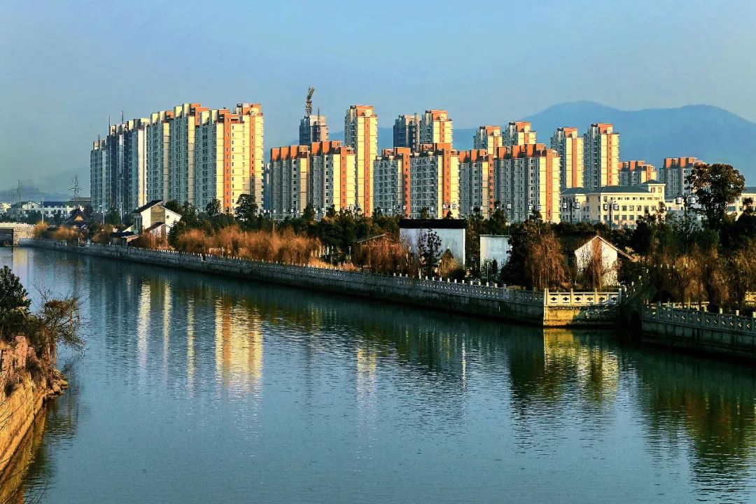 镇长郁文明带队巡查胥江断面周边情况