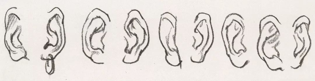 速写干货之局部耳朵的画法