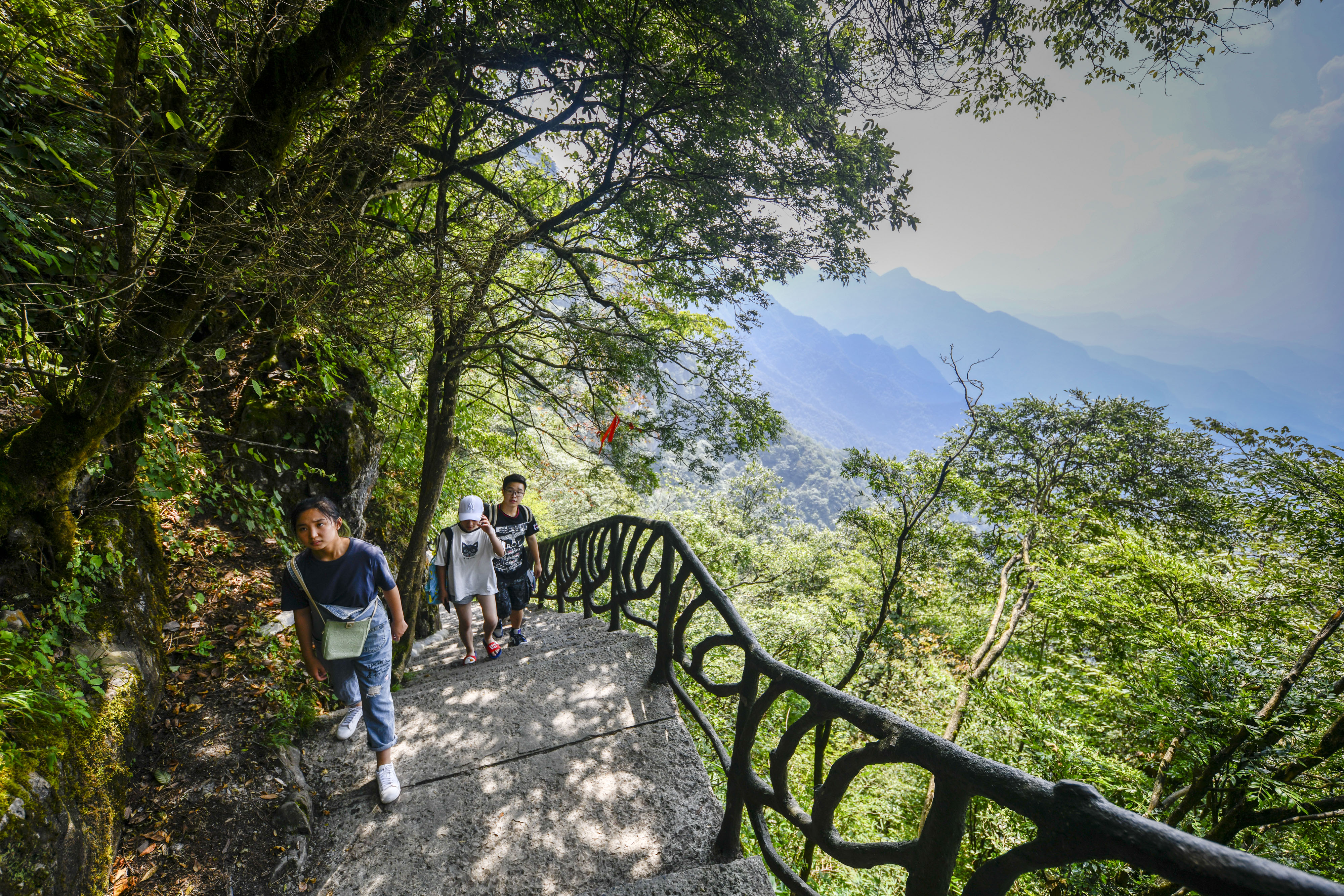 重庆金佛山:喀斯特地貌显奇观