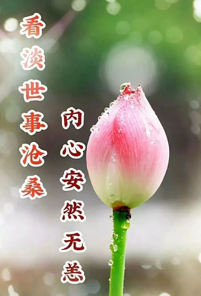 微信早上好快乐祝福短信大全早上好漂亮问候祝福语美图