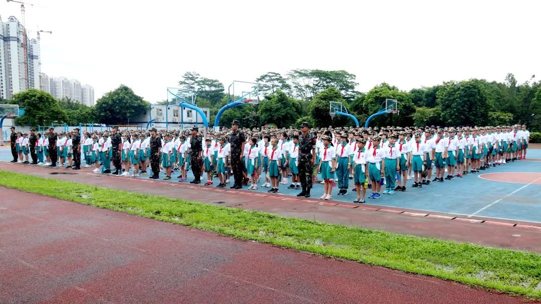 绿叶滋长少年成强记二中苏元实验学校2019年风纪教育