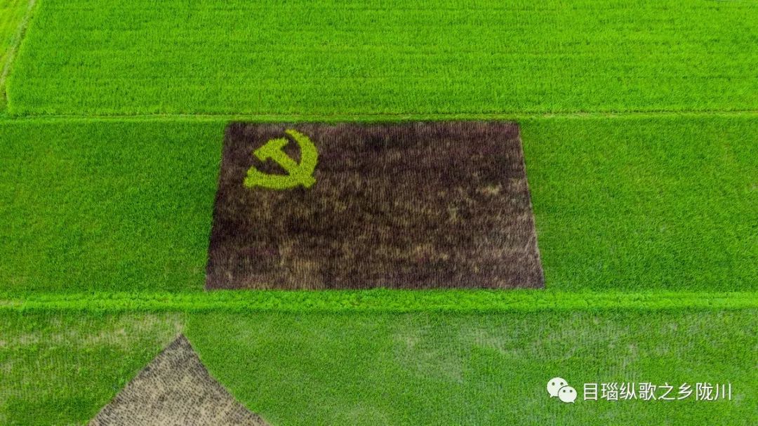 轻摆阿昌小伙吹葫芦萧献礼中国字样,建国70周年图标,鲤鱼国旗,党旗