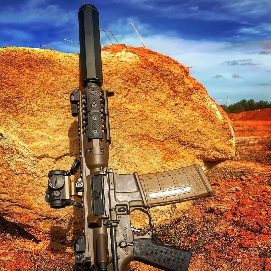 静观其变oss消音器美图欣赏