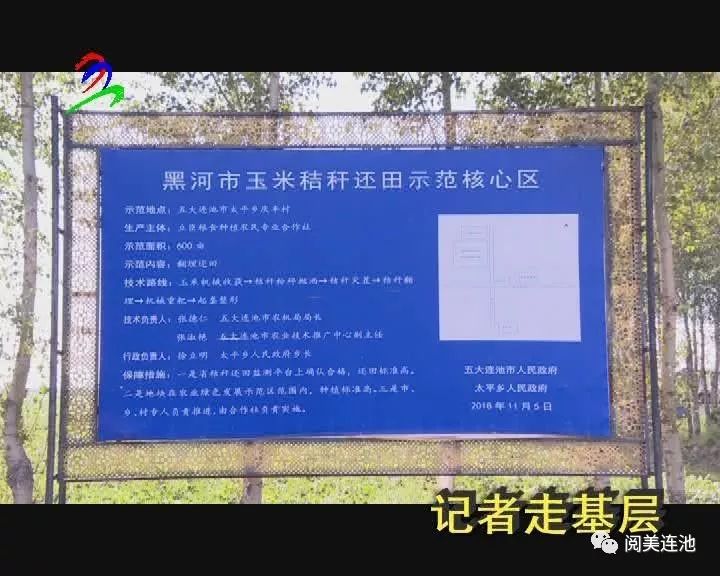 坚持三减政策,建立了庆民村有机绿色大豆,玉豆轮作,原垄卡种等四个市