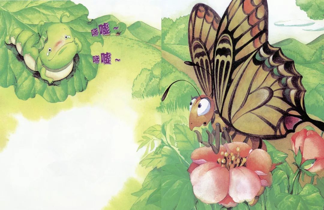 菜青虫找妈妈|朵妈讲故事no.572