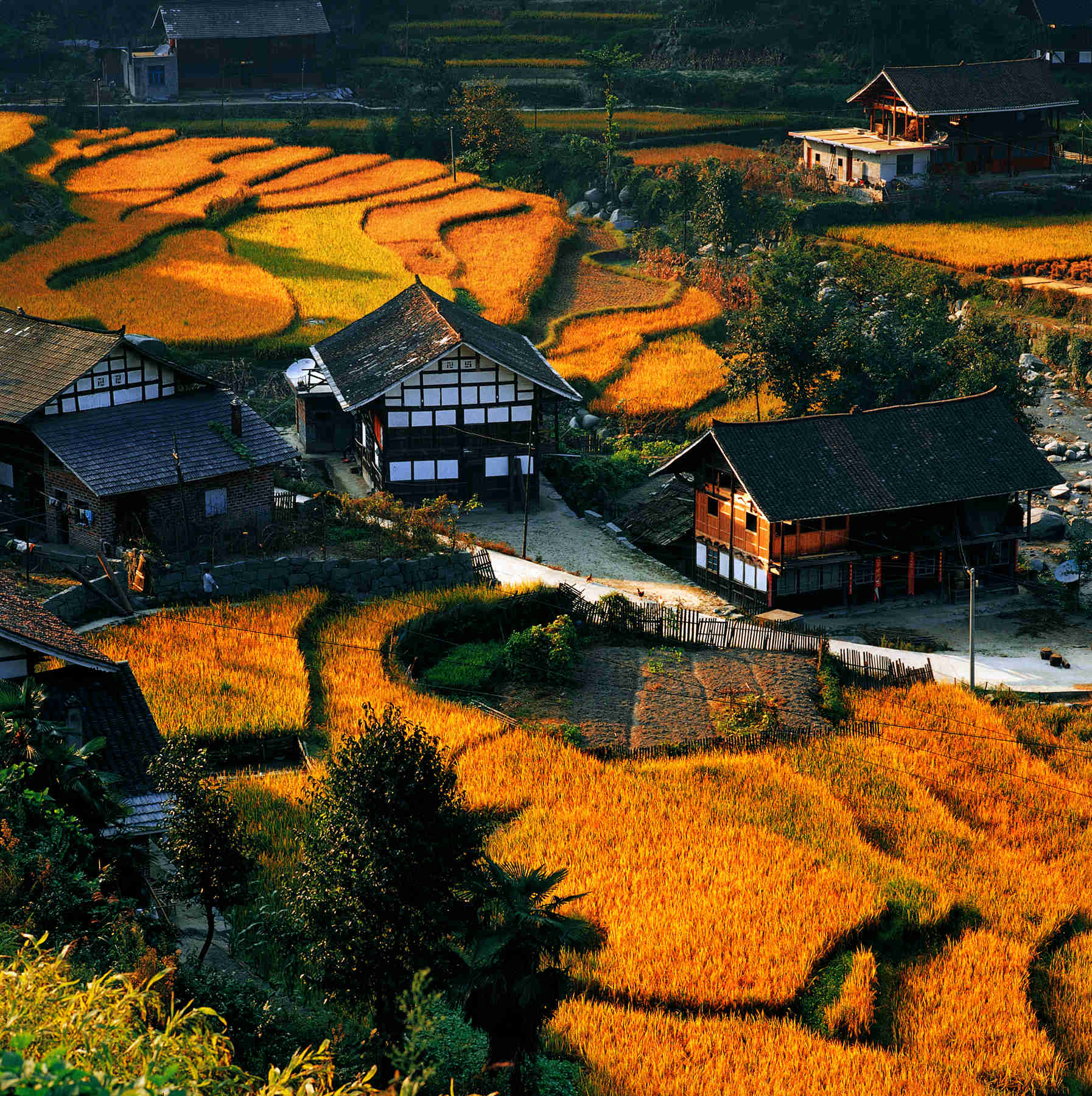 紫鹊界梯田-秋 (袁小峰)梅山龙宫(方建宏)大熊山-熊山夜色(袁小锋)