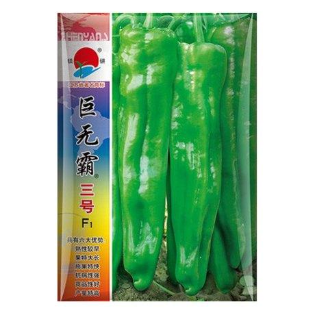 镇研巨无霸辣椒巨无霸三号辣椒种子