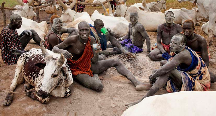 战乱频繁的南苏丹境内有着这样一个武装护牛的蒙达里原始部落,这个