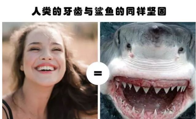 人类牙齿与鲨鱼同样坚固04昆虫被青蛙吃掉,狼蛛就可以免于骚扰,与此