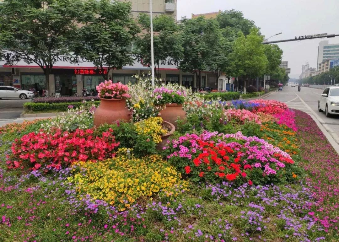 美cry上饶街头随处可见的花境你造吗