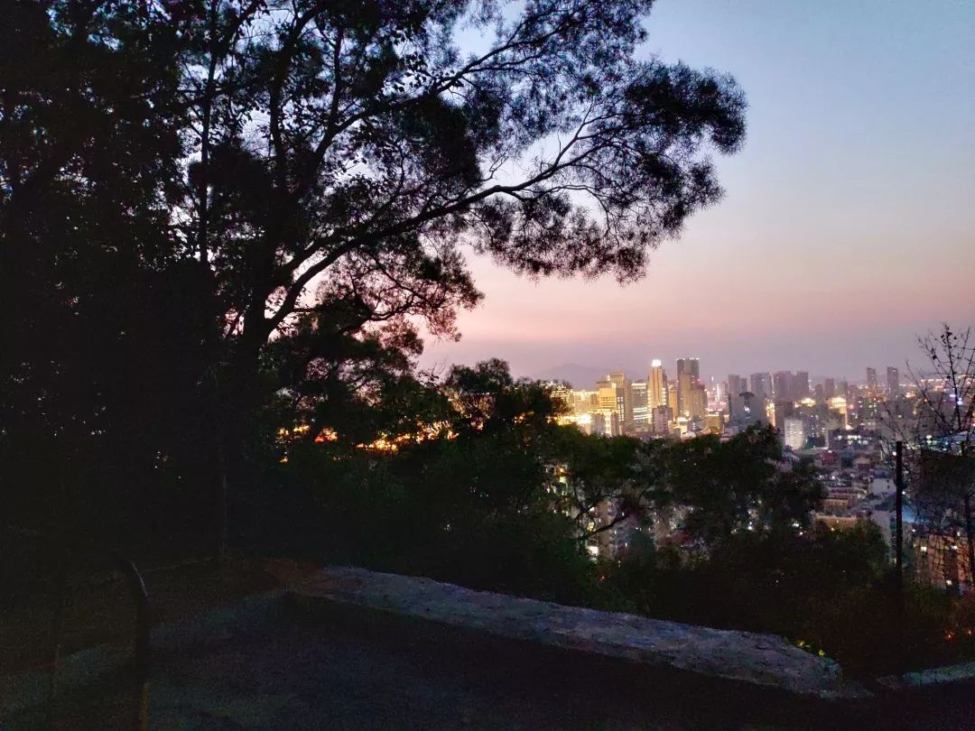 鄭成功公園適合爬山(耗時30~60分鐘左右)晚上上山的路都有燈,可在傍晚